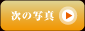 次の写真へ